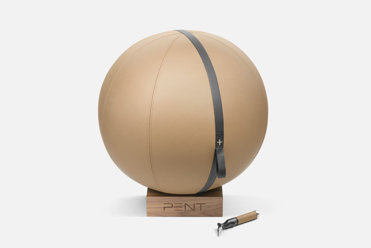 Leather discount sitting ball