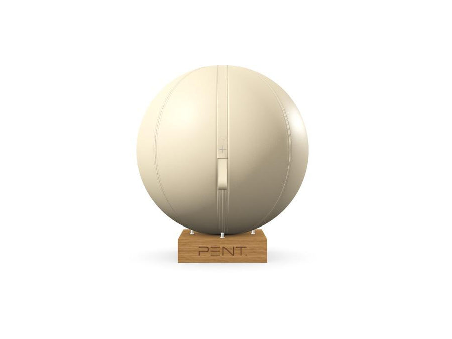 Sonderanfertigung MESNA™ Fitnessball 65 - Ref: QQ99CA